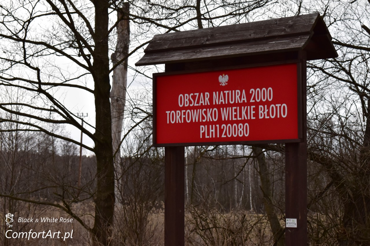 Torfowisko Wielkie Błoto tablica